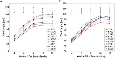 Combining deficit irrigation and nutrient amendment enhances the water productivity of tomato (Solanum lycopersicum L.) in the tropics
